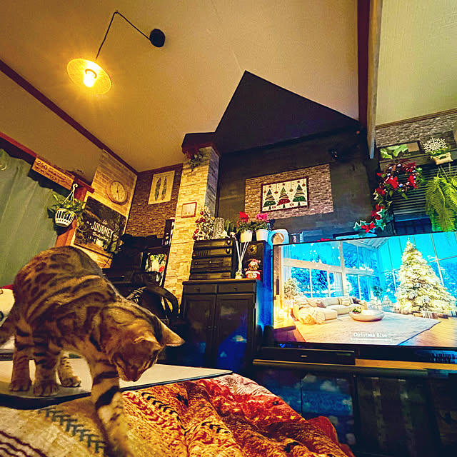 tututu0204さんの部屋