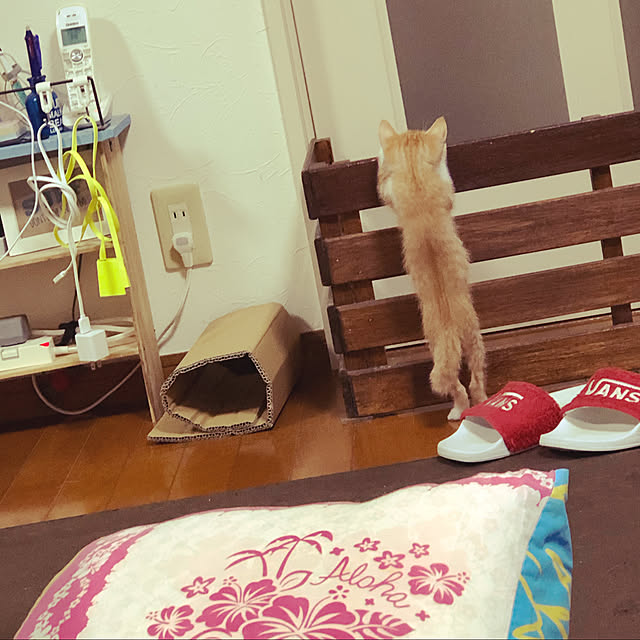 NARU_Monaさんの実例写真