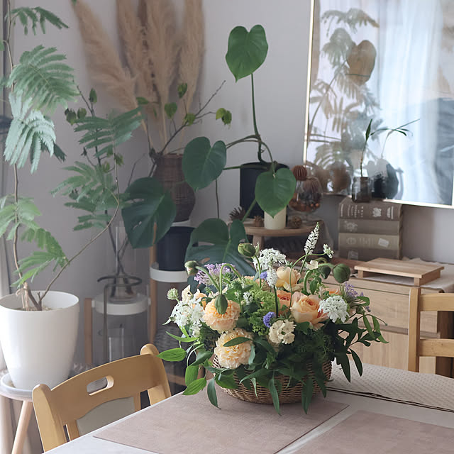 Summerさんの部屋