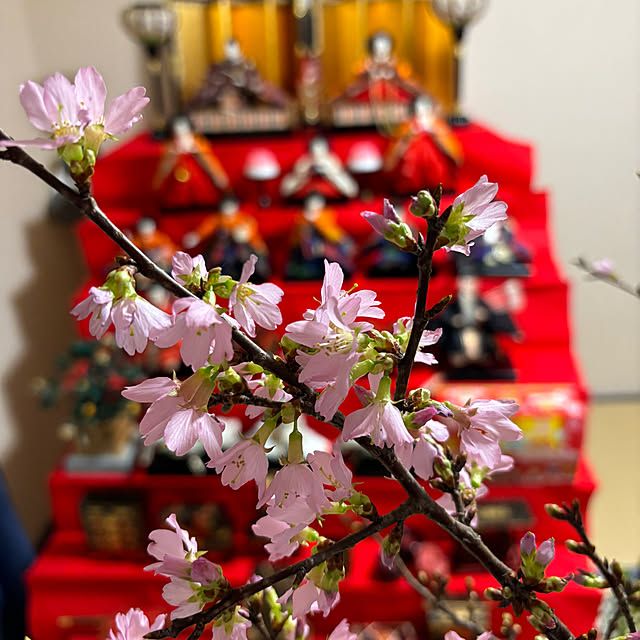 syutmmさんの部屋