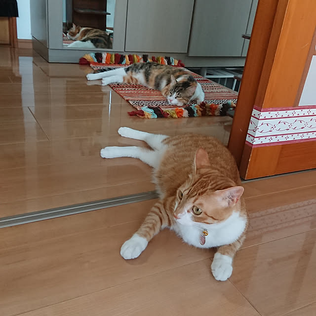 akiさんの実例写真