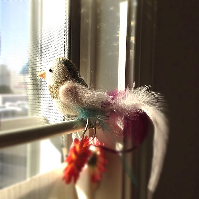 Nanaさんの実例写真