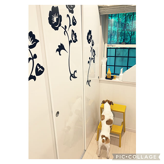 kittyさんの実例写真