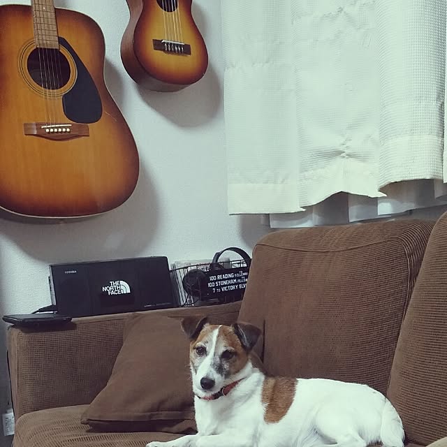 naomiさんの実例写真