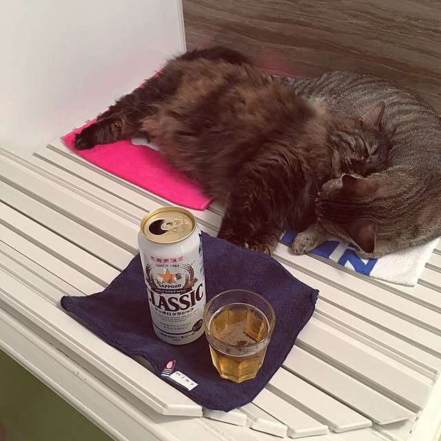 mikomaruさんの実例写真