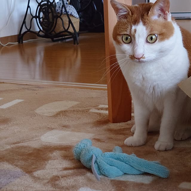 mugi77327732さんの実例写真