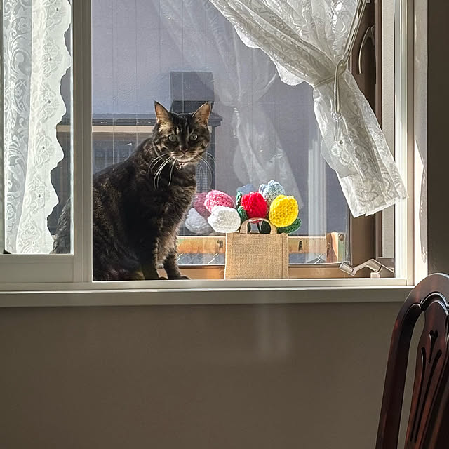 momocchiさんの実例写真