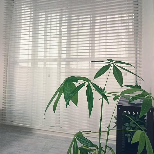 KANAさんの実例写真