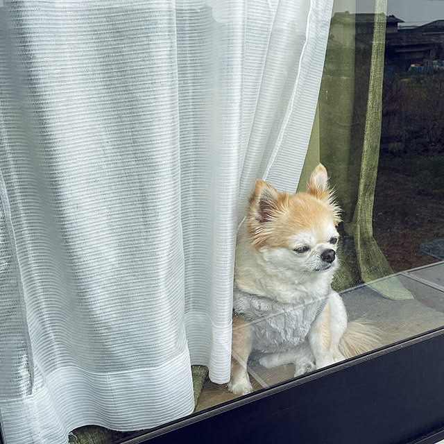 natsumiさんの部屋