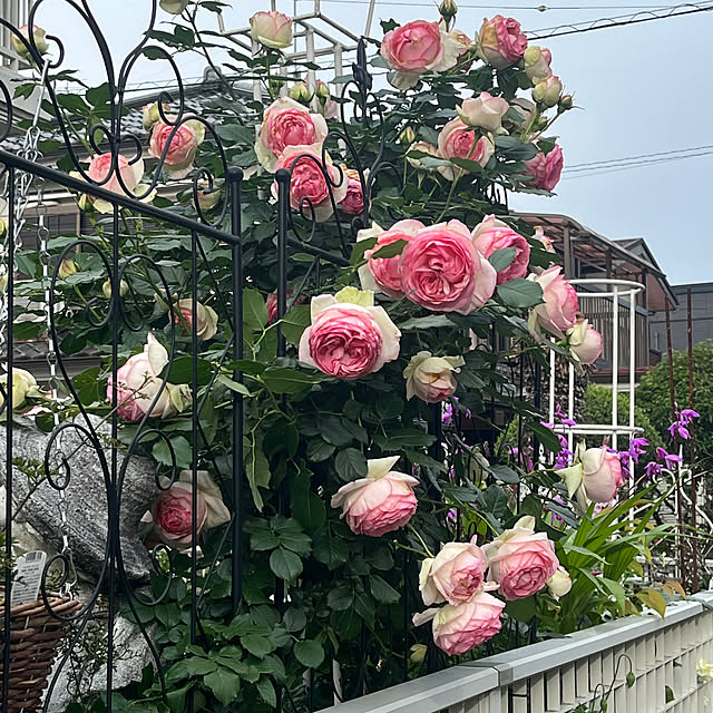 dainaoreiさんの部屋