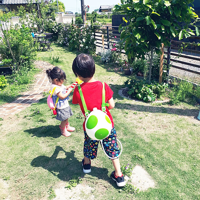 実例写真