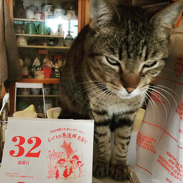 Maki-nekomamireさんの実例写真
