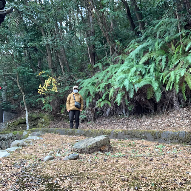 Neko Daisukeさんの実例写真