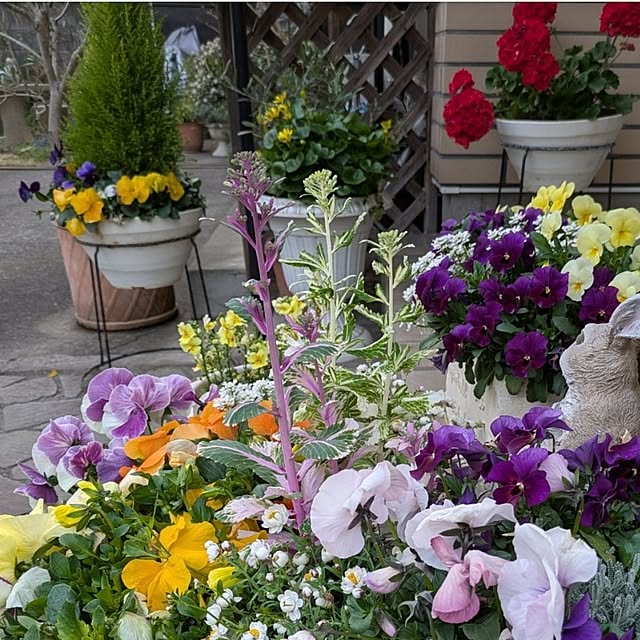 ku-garnet18さんの部屋