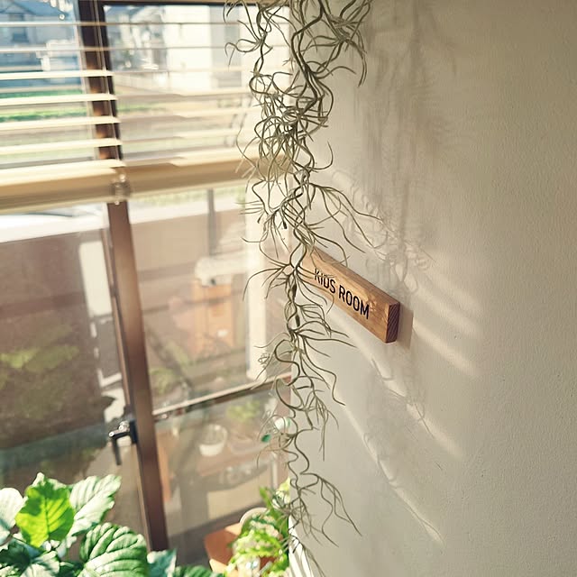 karinさんの実例写真