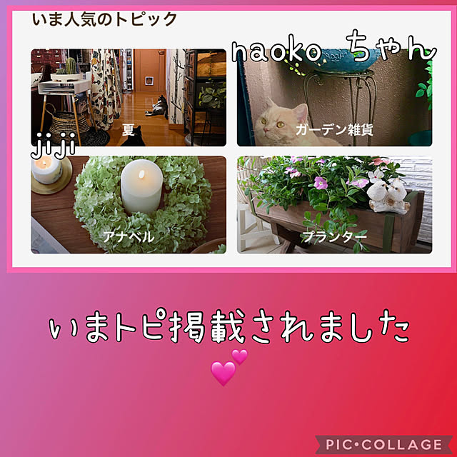 jijiさんの実例写真