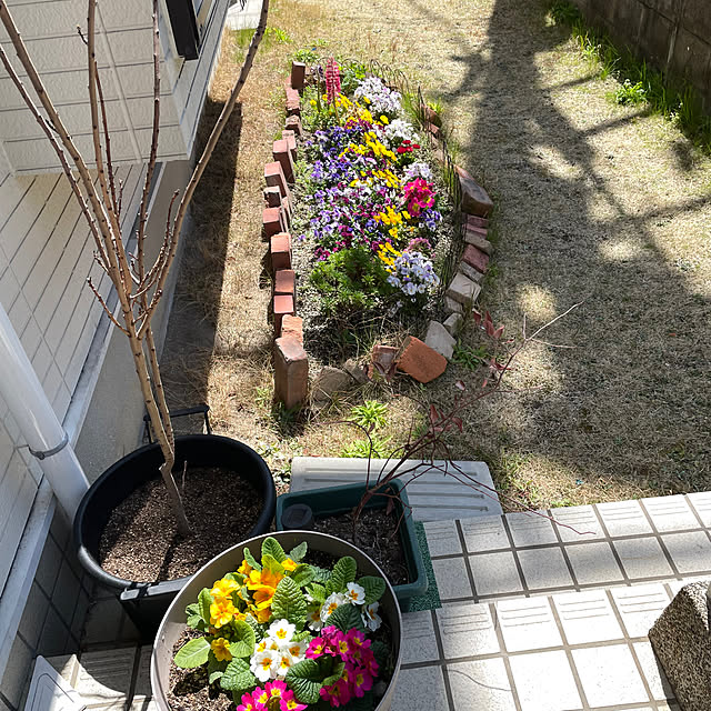 wanchanさんの部屋