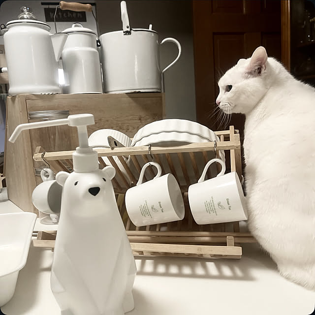 Ohigeさんの実例写真