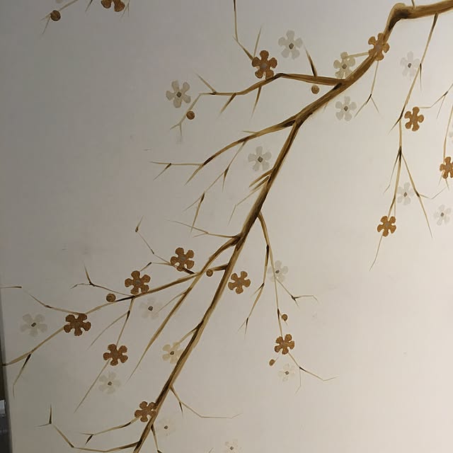 Zara.kmlさんの実例写真