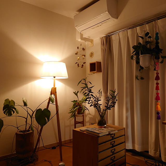 horohorotoriさんの実例写真