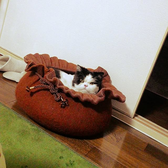 nekonekokoさんの実例写真