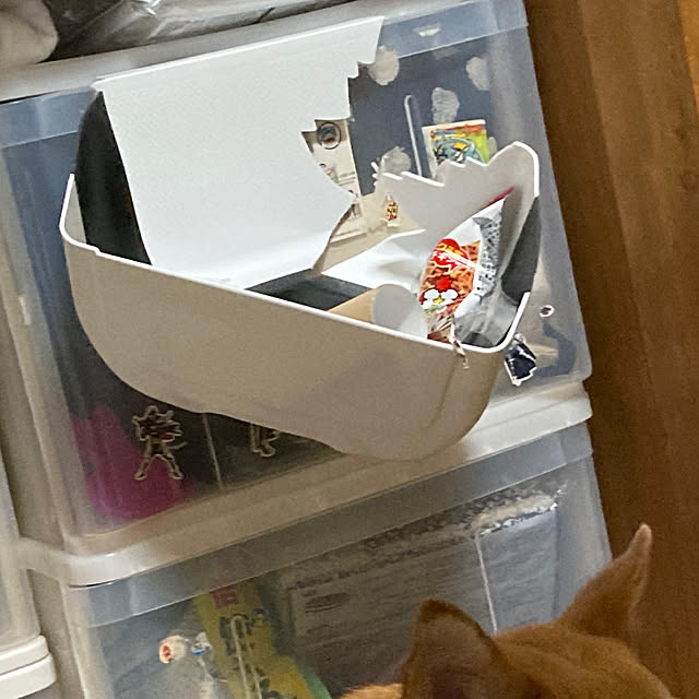 luckyさんの部屋