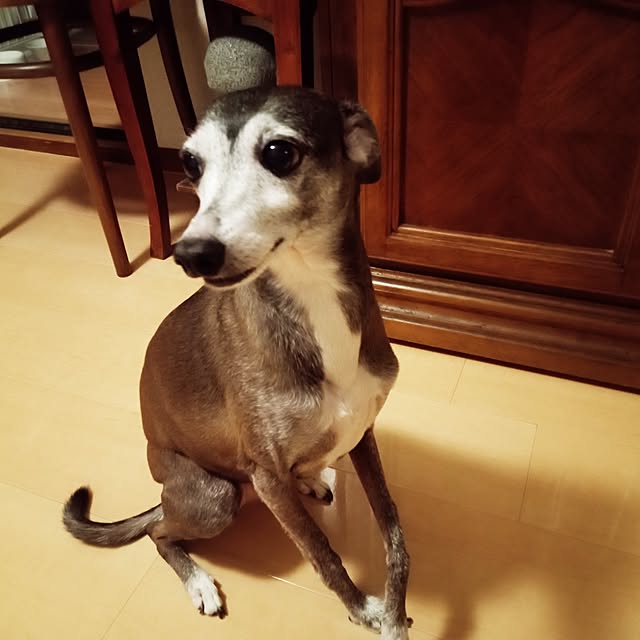 moruさんの部屋