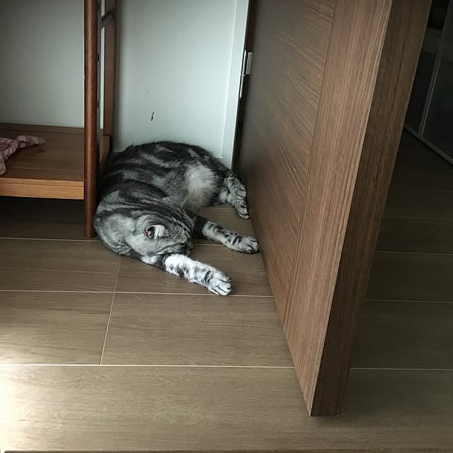 mikomaruさんの実例写真