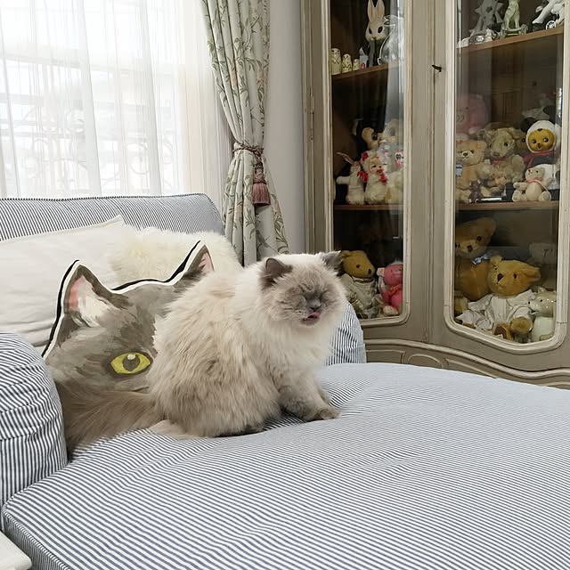 yuchiさんの実例写真