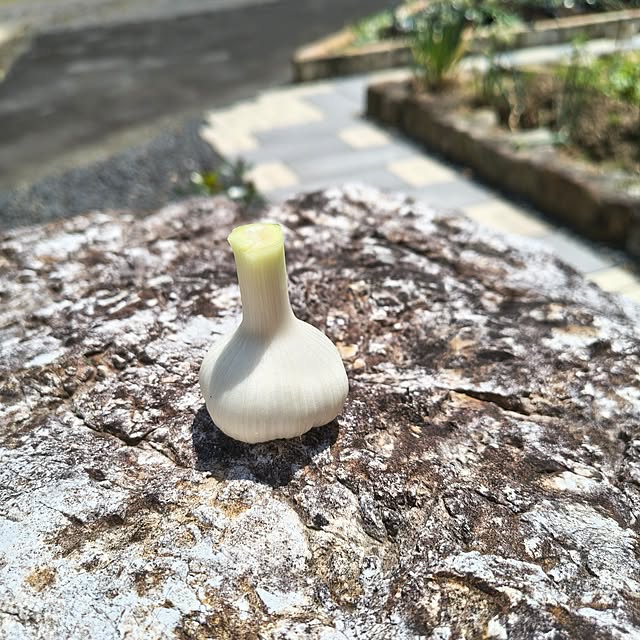 Rubiconさんの実例写真