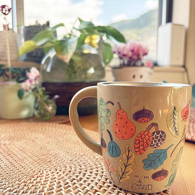 Toyomiさんの実例写真