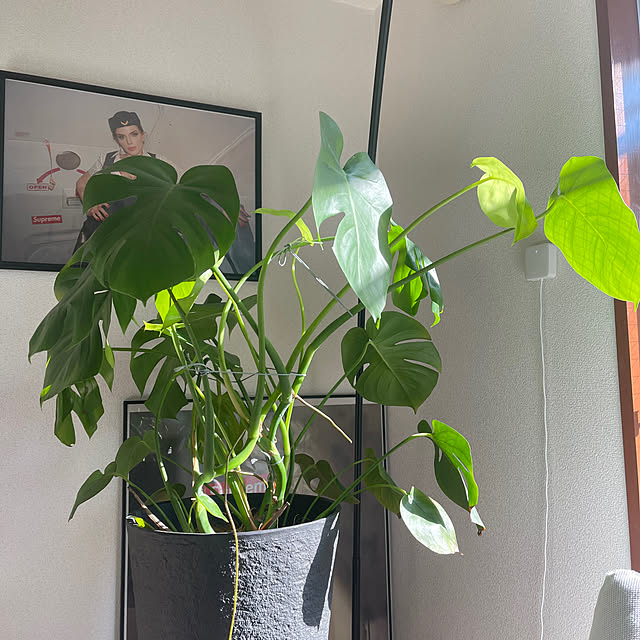 yuuさんの部屋