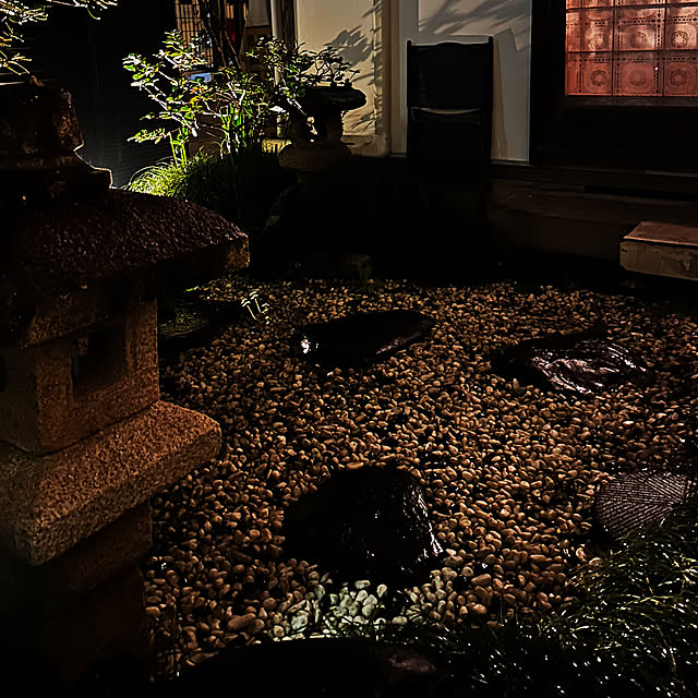 chacoさんの部屋