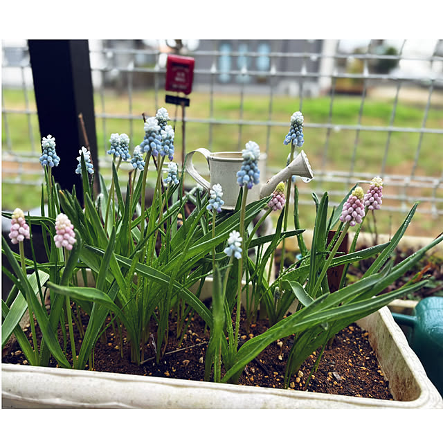 CoCo0617さんの実例写真