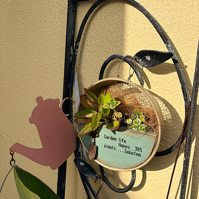 bu-bu-chanさんの部屋