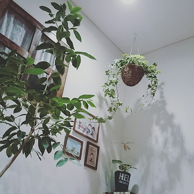 ycmmtj62310126さんの実例写真