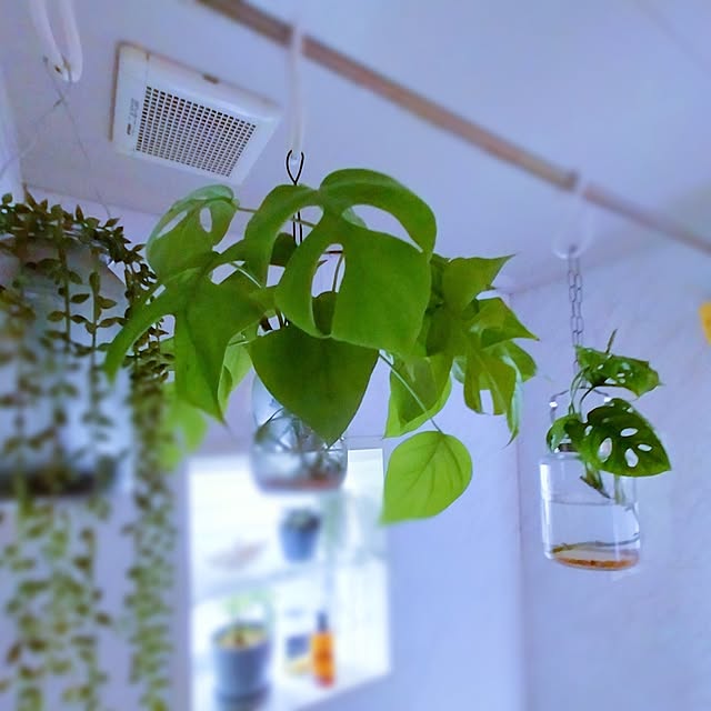 jinさんの部屋