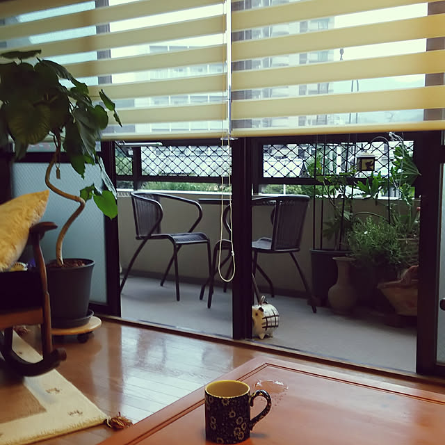 chikoyuさんの実例写真