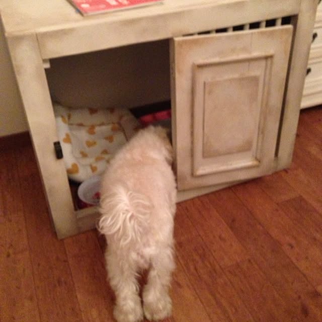 saqura_apartment101さんの実例写真