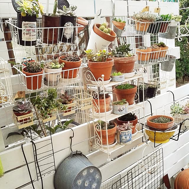 383junkさんの実例写真