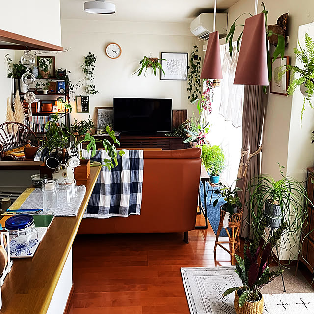 vol.3719写真