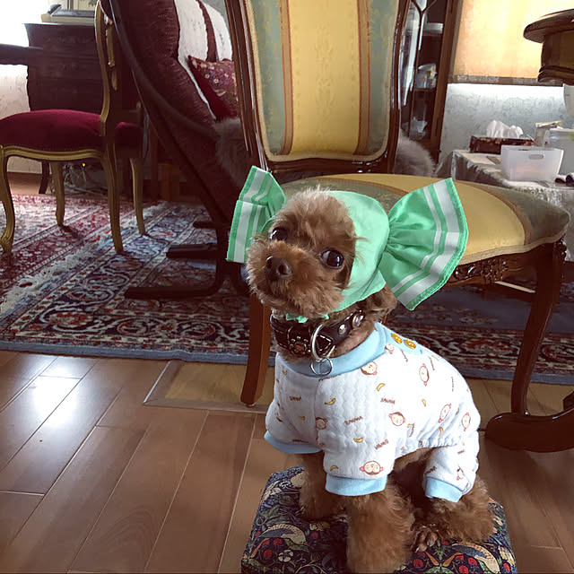 Tiaraさんの実例写真