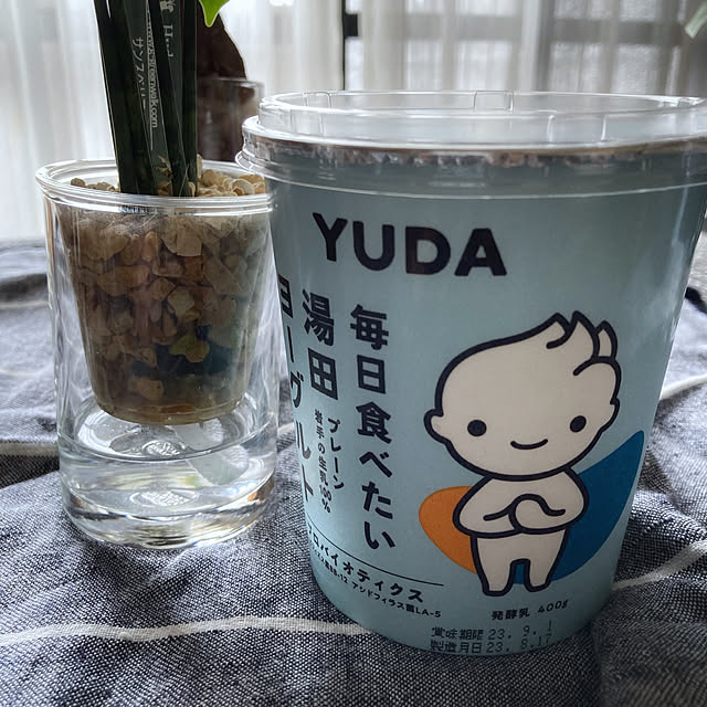 nepenthesさんの部屋