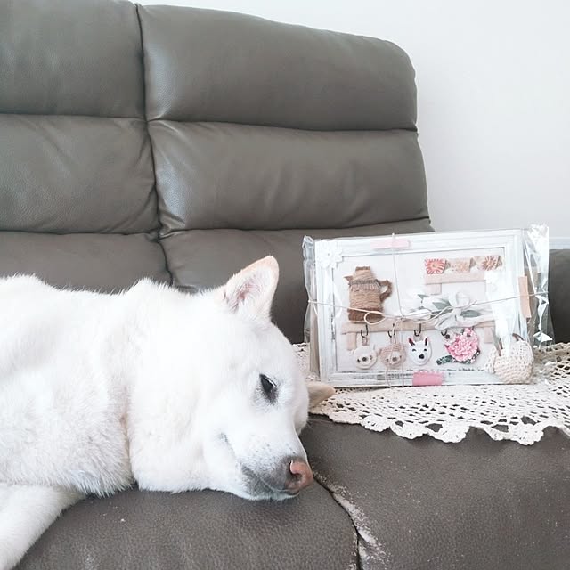 yukinkoさんの部屋