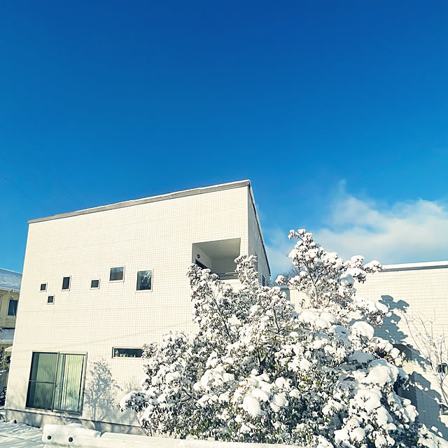 sayapiさんの実例写真