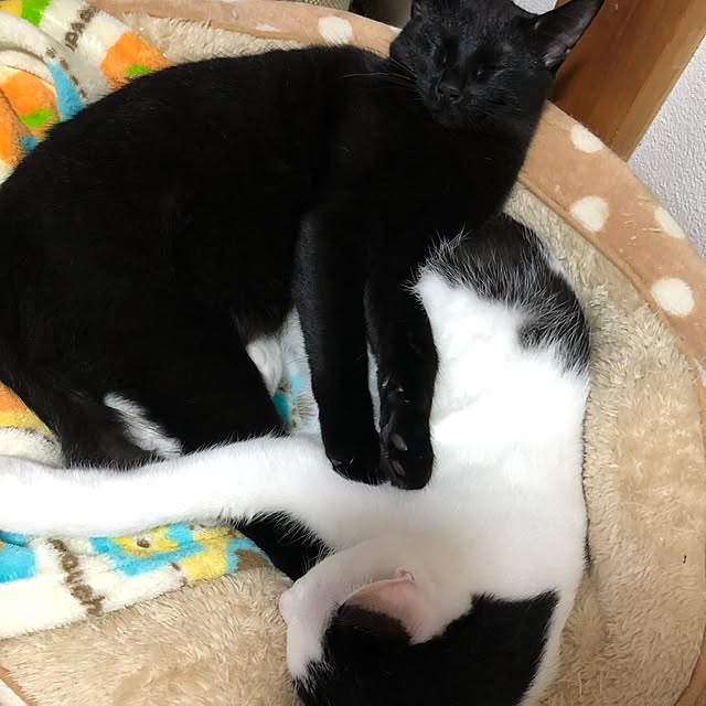 tf8332さんの実例写真