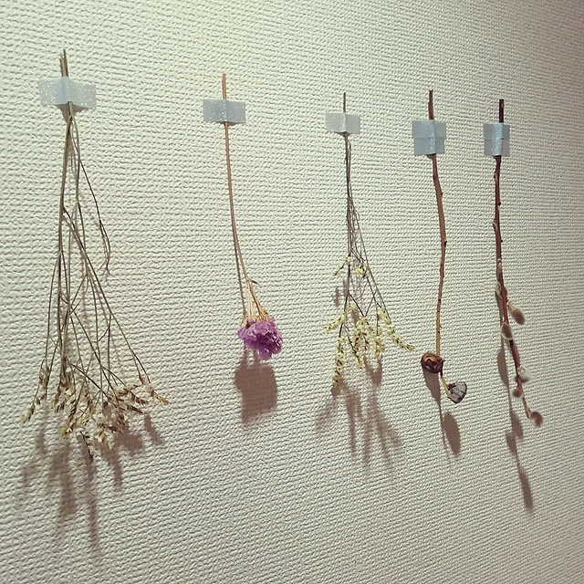 Suuさんの実例写真