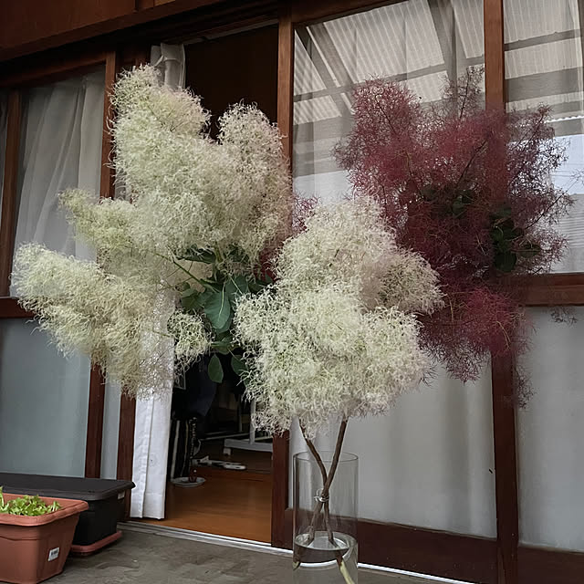 hameさんの部屋