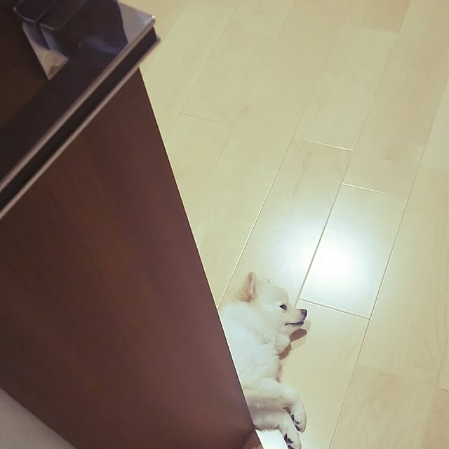 yuki15さんの実例写真