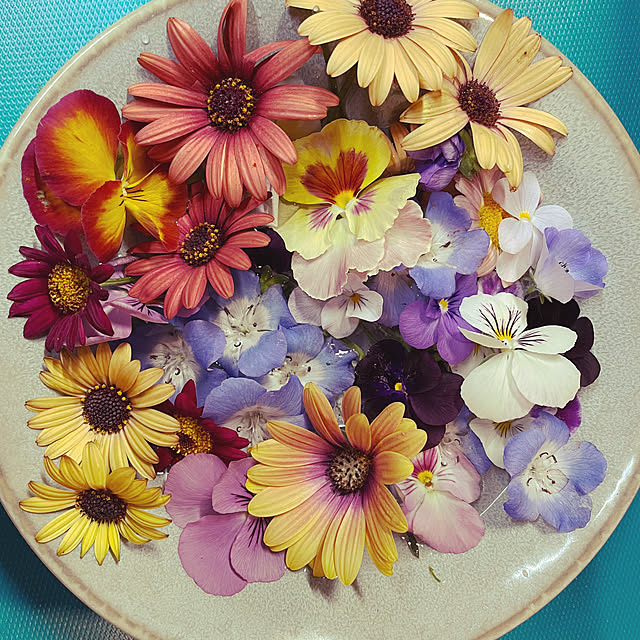 namecoさんの実例写真